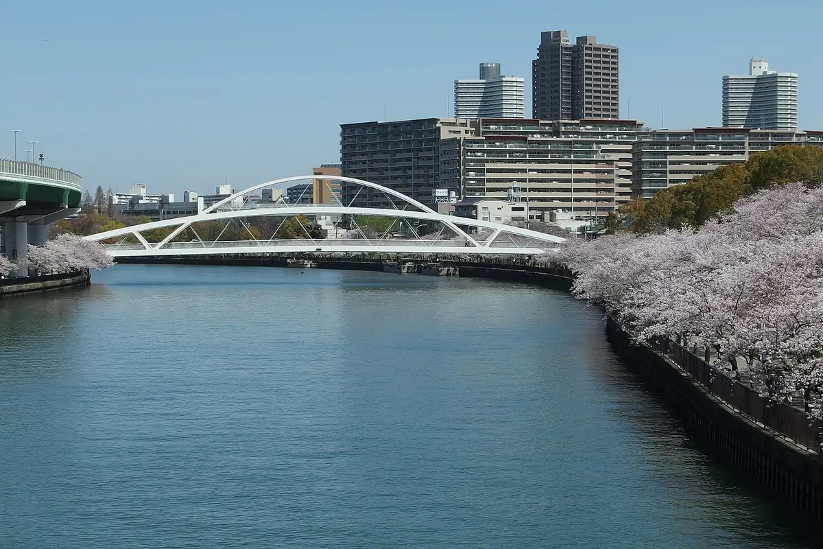 飛翔橋, 大阪