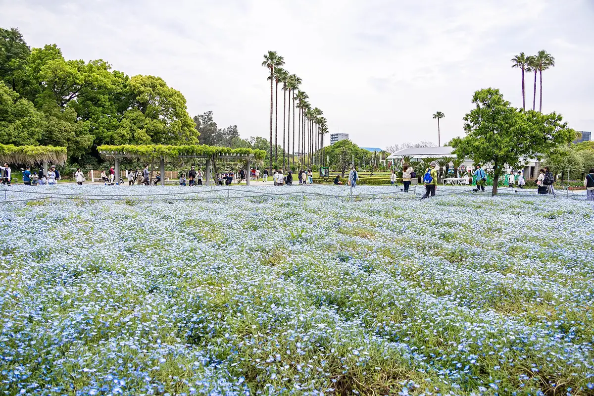 长居植物园, 大阪