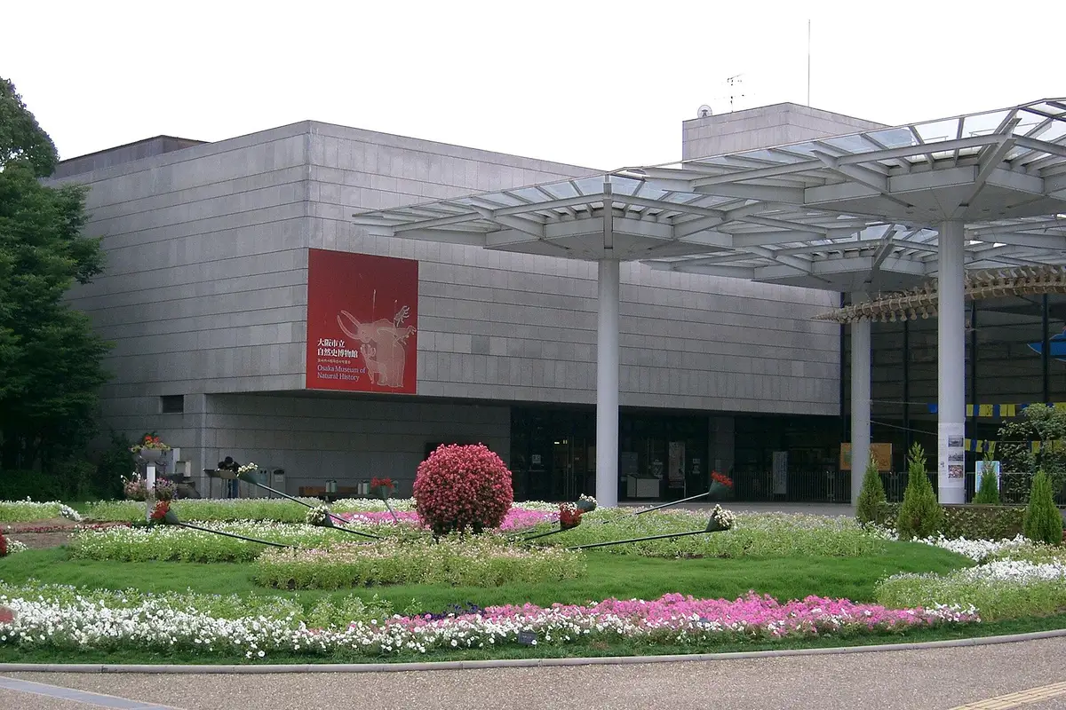 Osaka Museum of Natural History, 오사카
