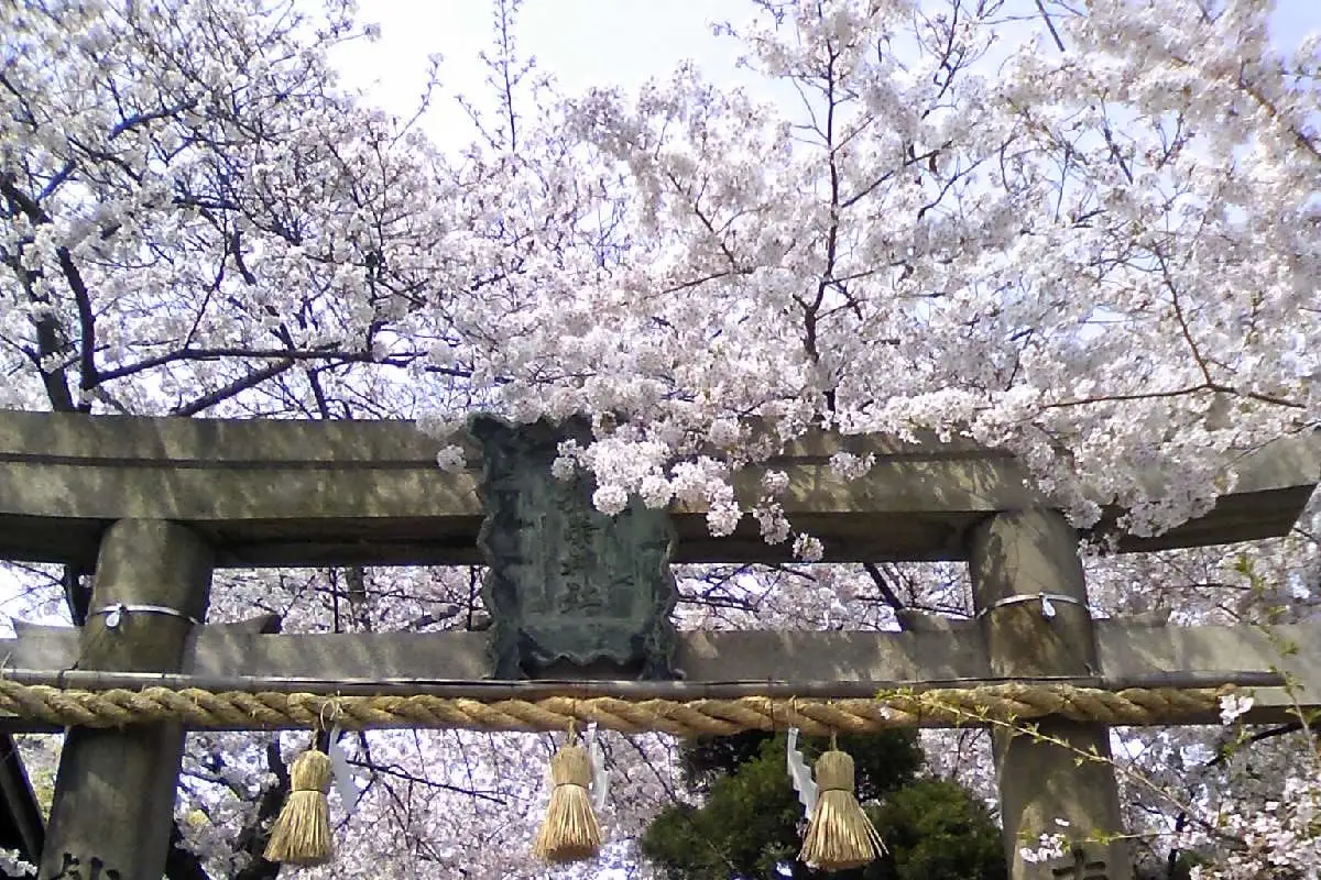 彌榮神社, 大阪